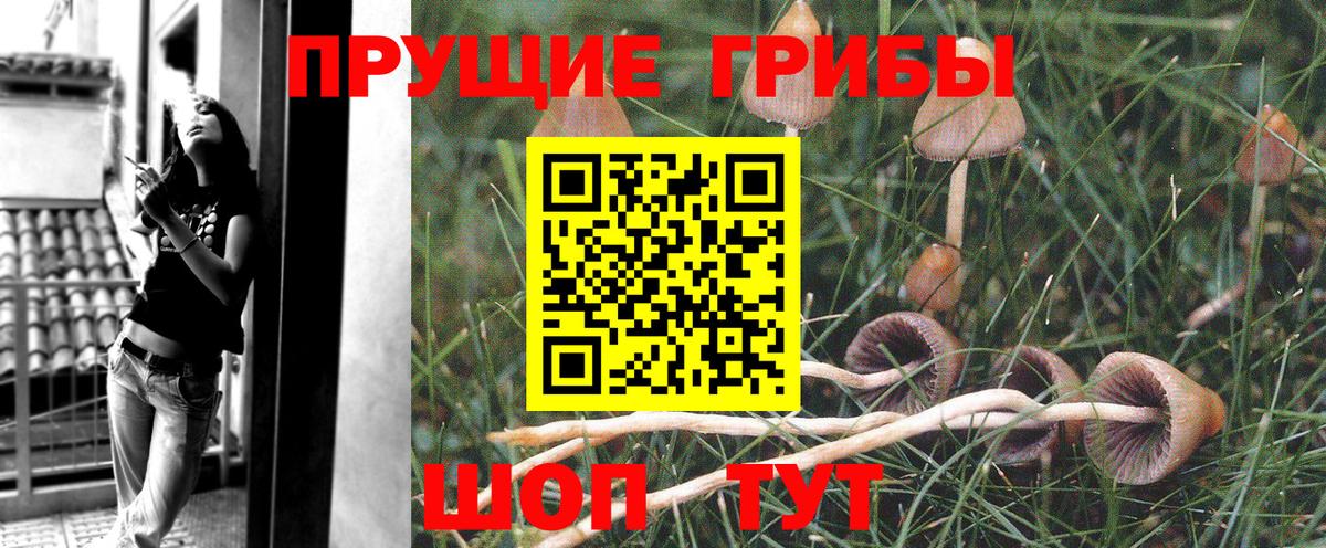 Соль-Илецк  Псилоцибиновые грибы ЛСД  закладки  Вход с VPN  Галлюциногенные грибы мухоморы 