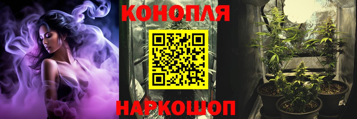 Бошки марихуана White Widow Соль-Илецк